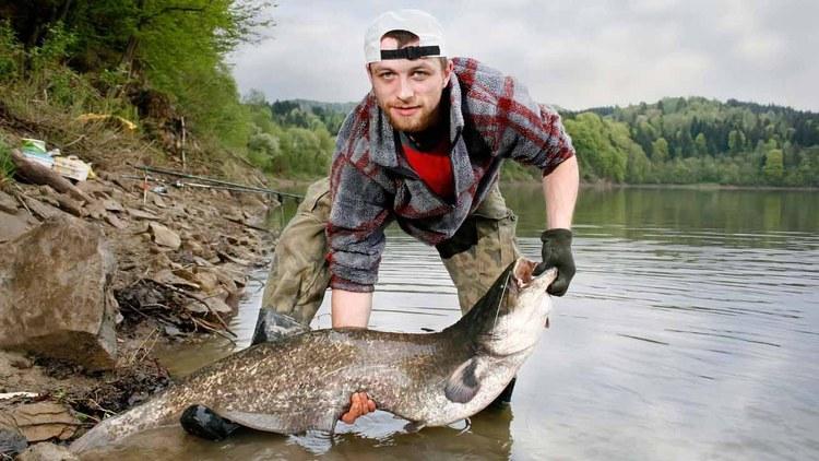 angler praesentiert einen wels am ufer